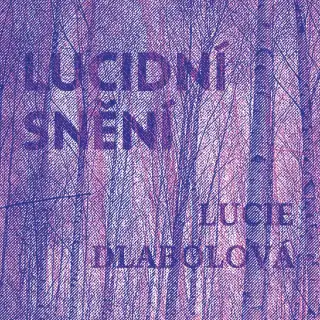 Obal alba Lucidní snění